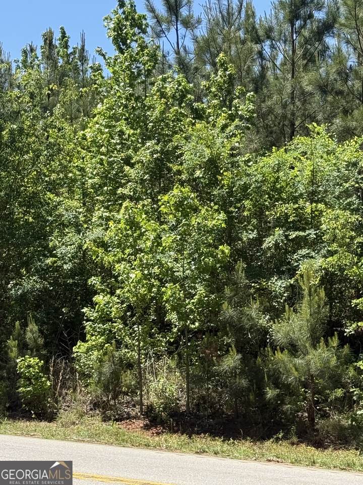 10 ACRES Woodbury Hwy - Photo 1