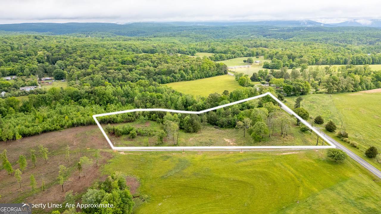 0 Ga 301 Highway - Photo 1