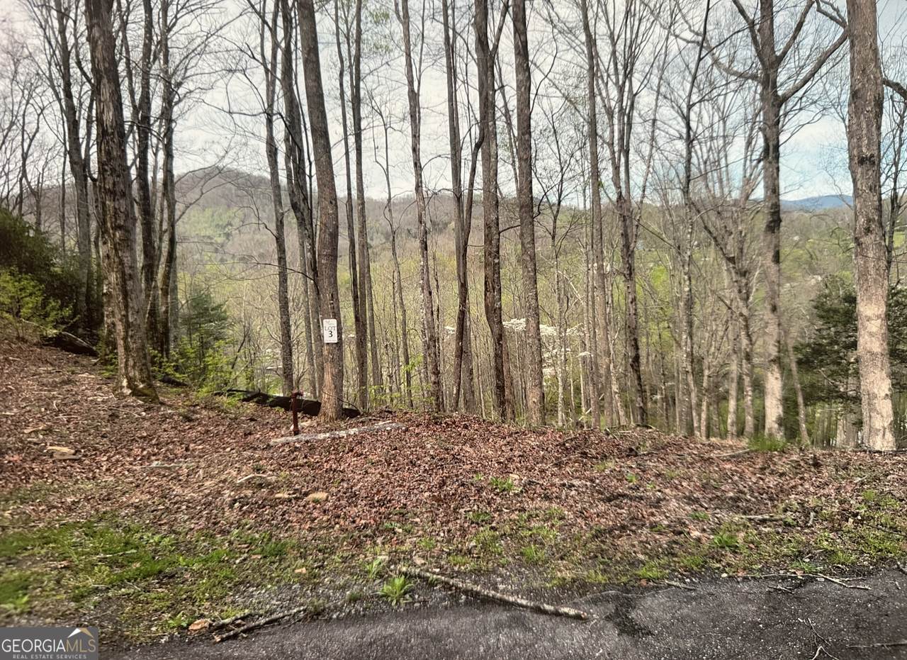 LOT 3 Buckhead Hills - Photo 1