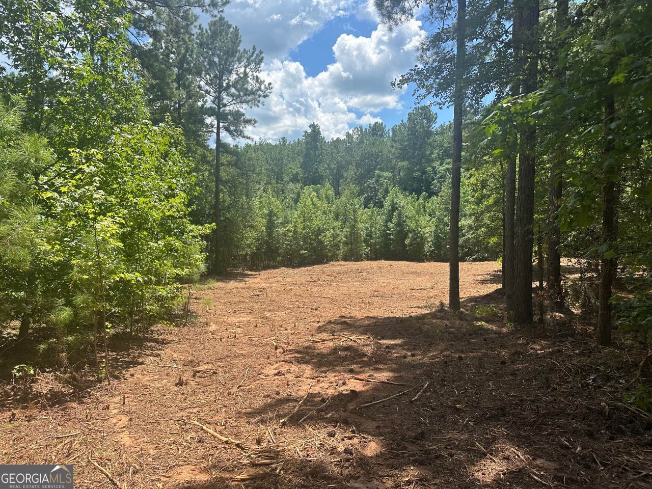 0 Ruckersville Road - Photo 1