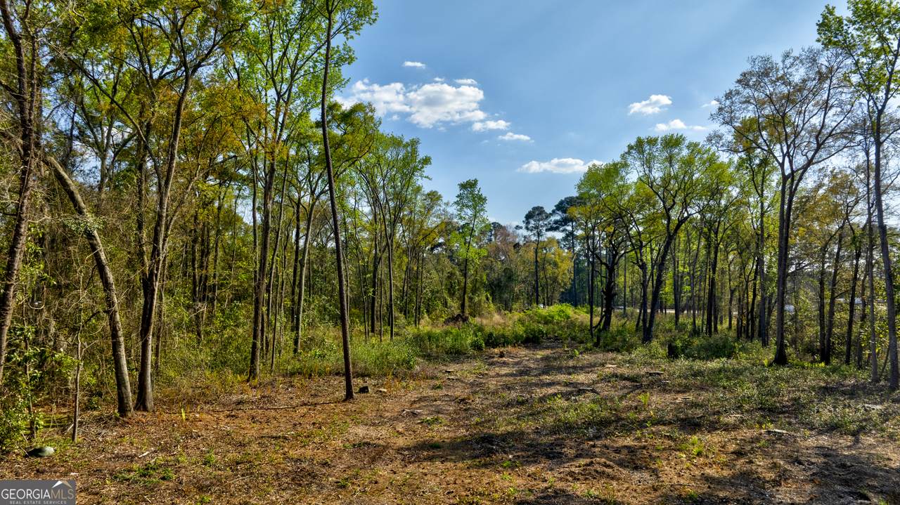 2502 Staley Avenue - Photo 1