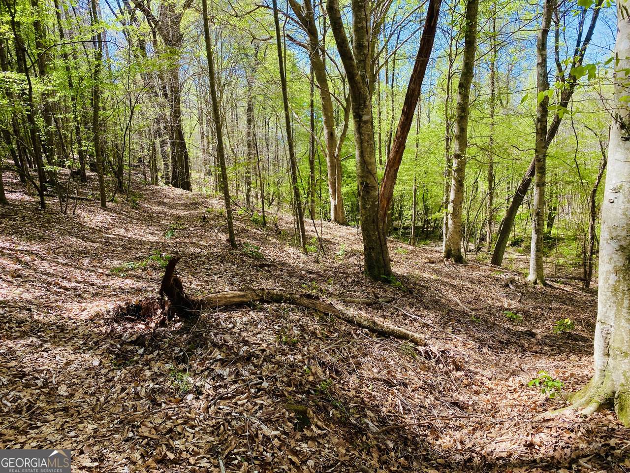 3 Curry Falls Trail - Photo 1