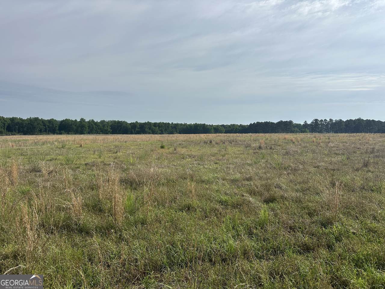 1309 Jarrell Pond Road - Photo 1