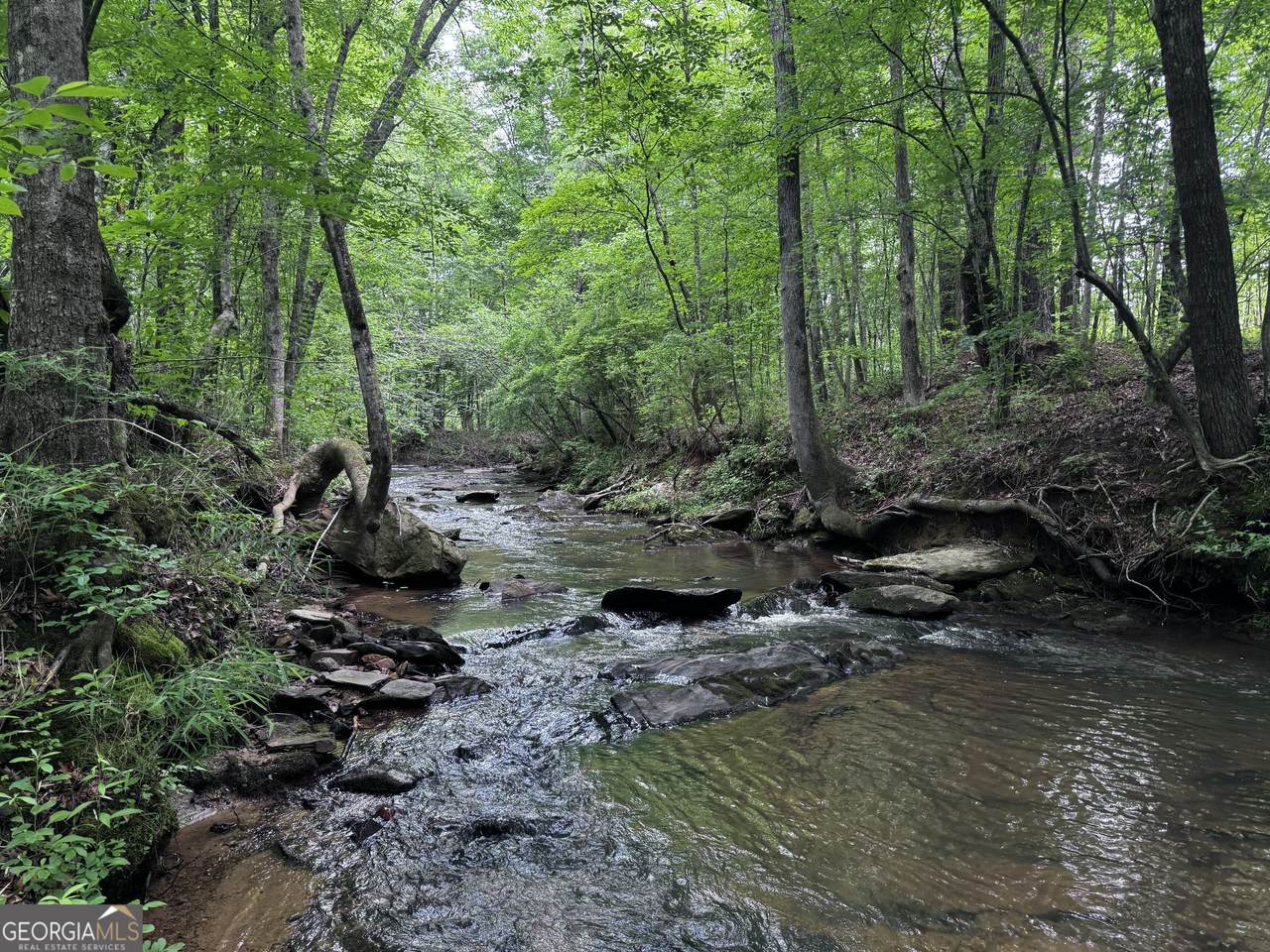 715+/- AC Ridgeway Road - Photo 1