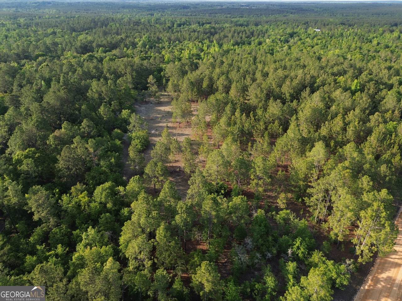 3570 William Dennis Road - Photo 1