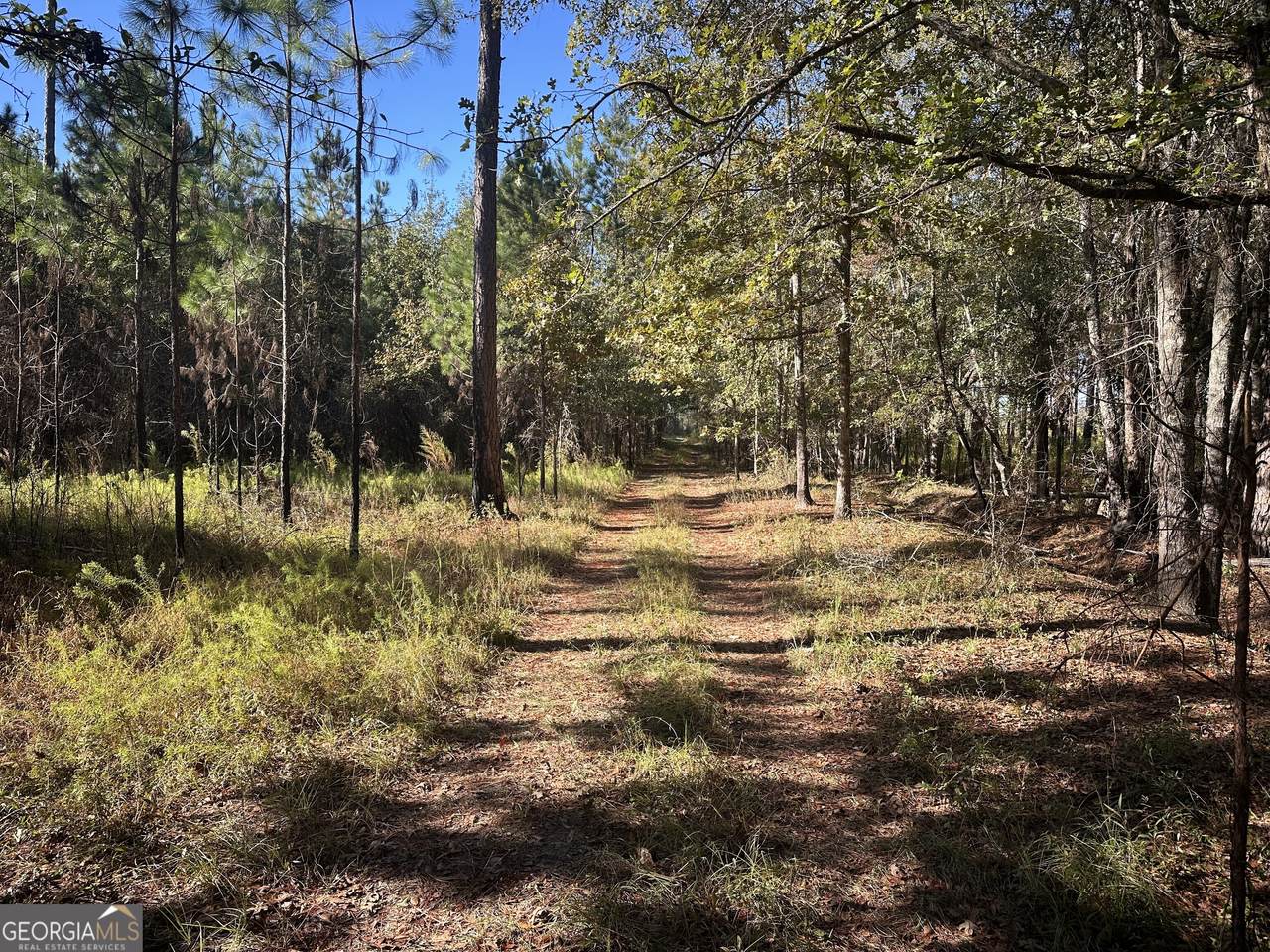 0 Buck Creek Road - Photo 1