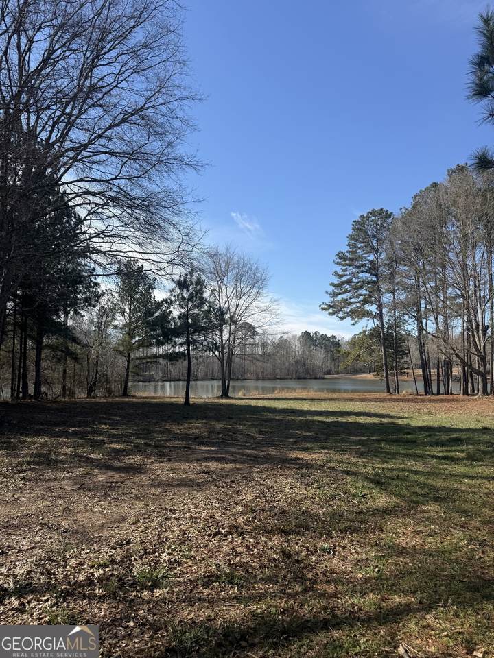 195 Hamil Road - Photo 1