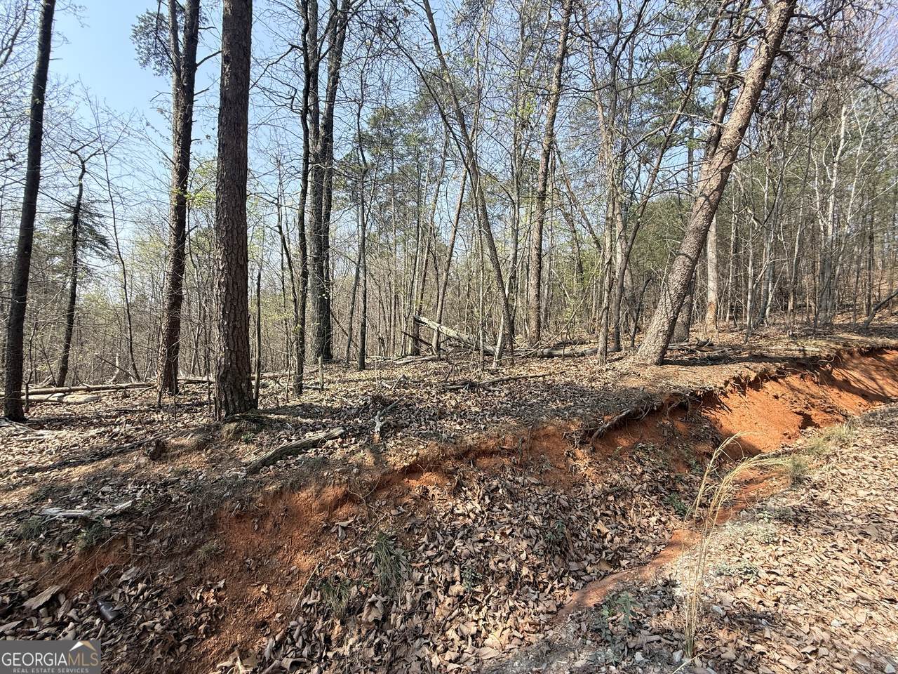 TRACT A Baldwin Heights Road - Photo 1