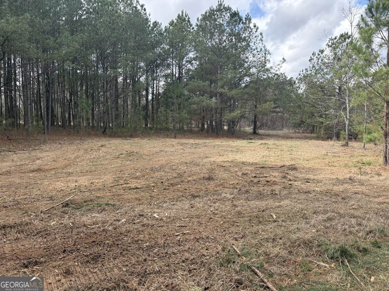 L2&3 Keysville-Boggs Academy Road - Photo 1