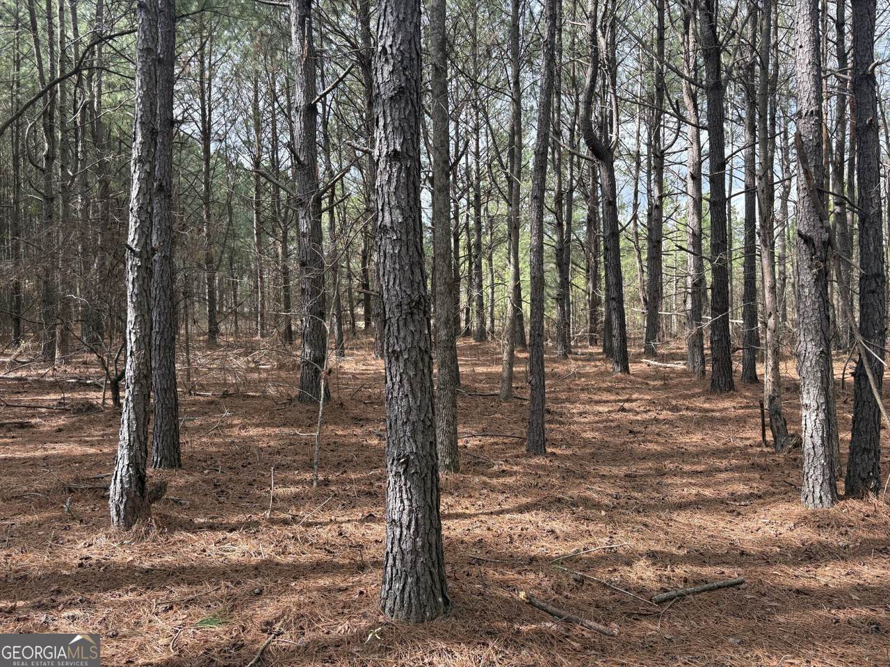 https://bt-photos.global.ssl.fastly.net/gamls/1280_boomver_1_10765099-2.jpg