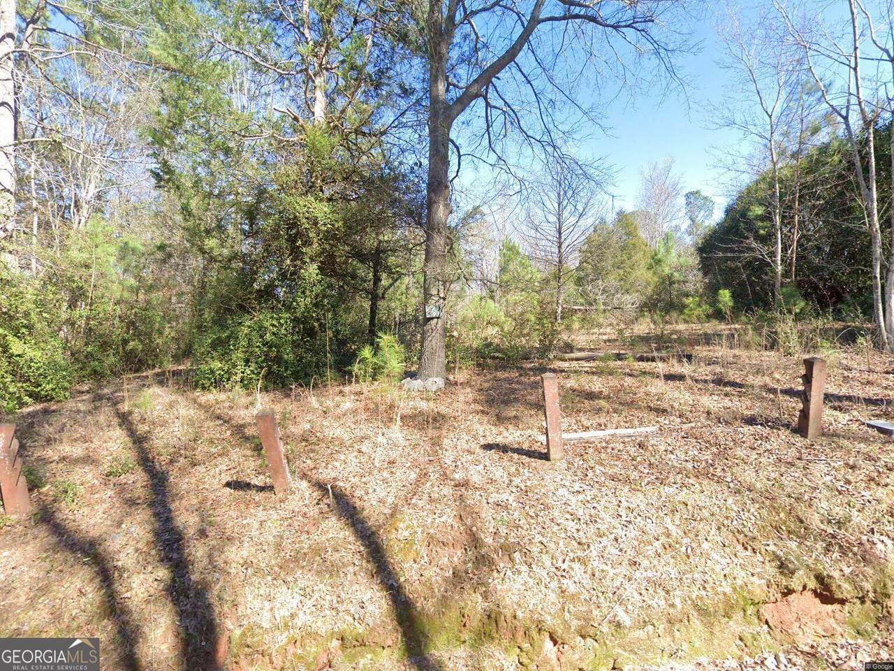 295 Lang Circle - Photo 1