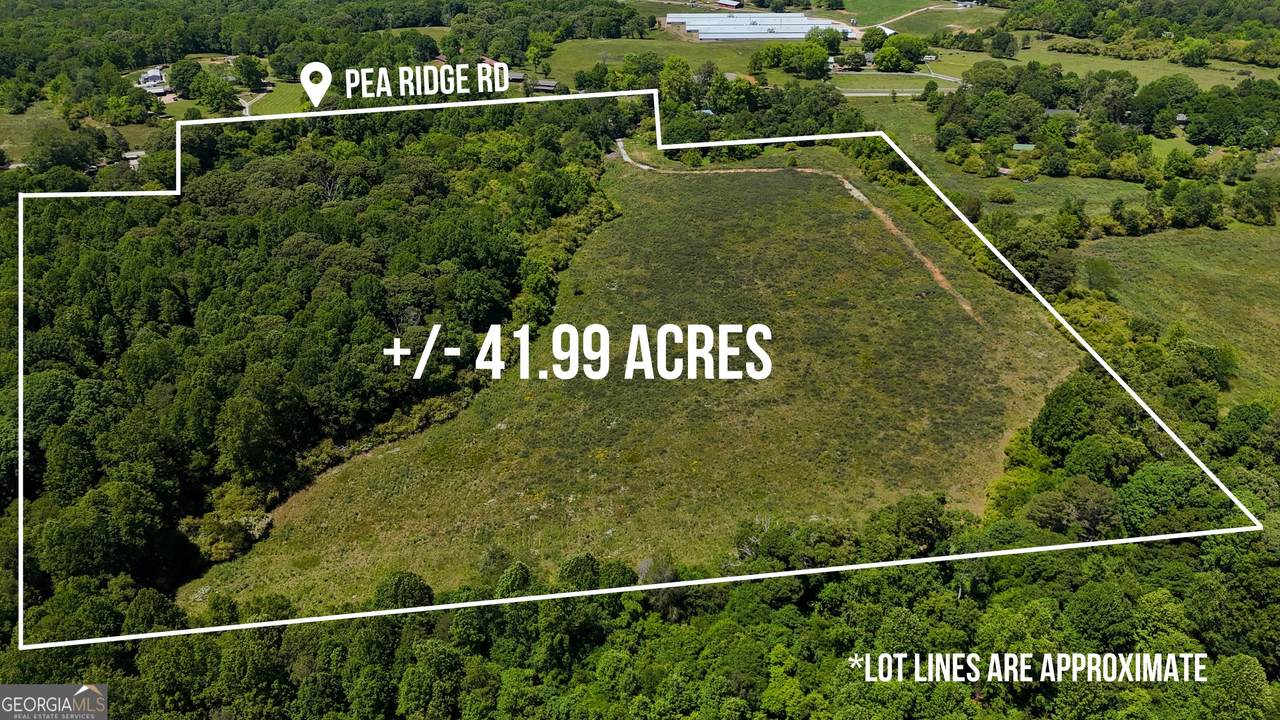3600 Pea Ridge Road - Photo 1