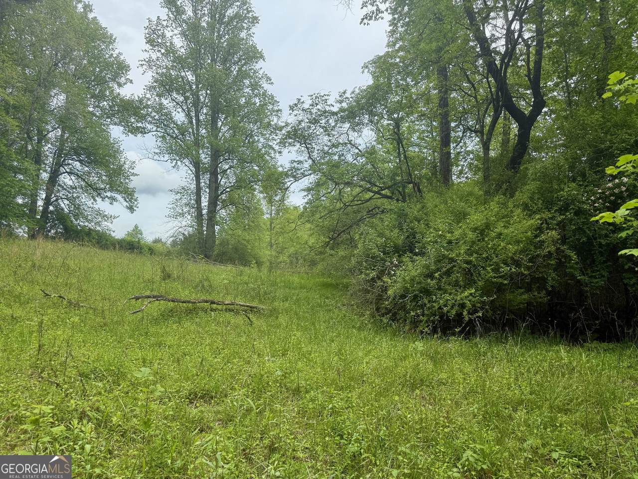 LOT 9 Peach Orchard Way - Photo 1