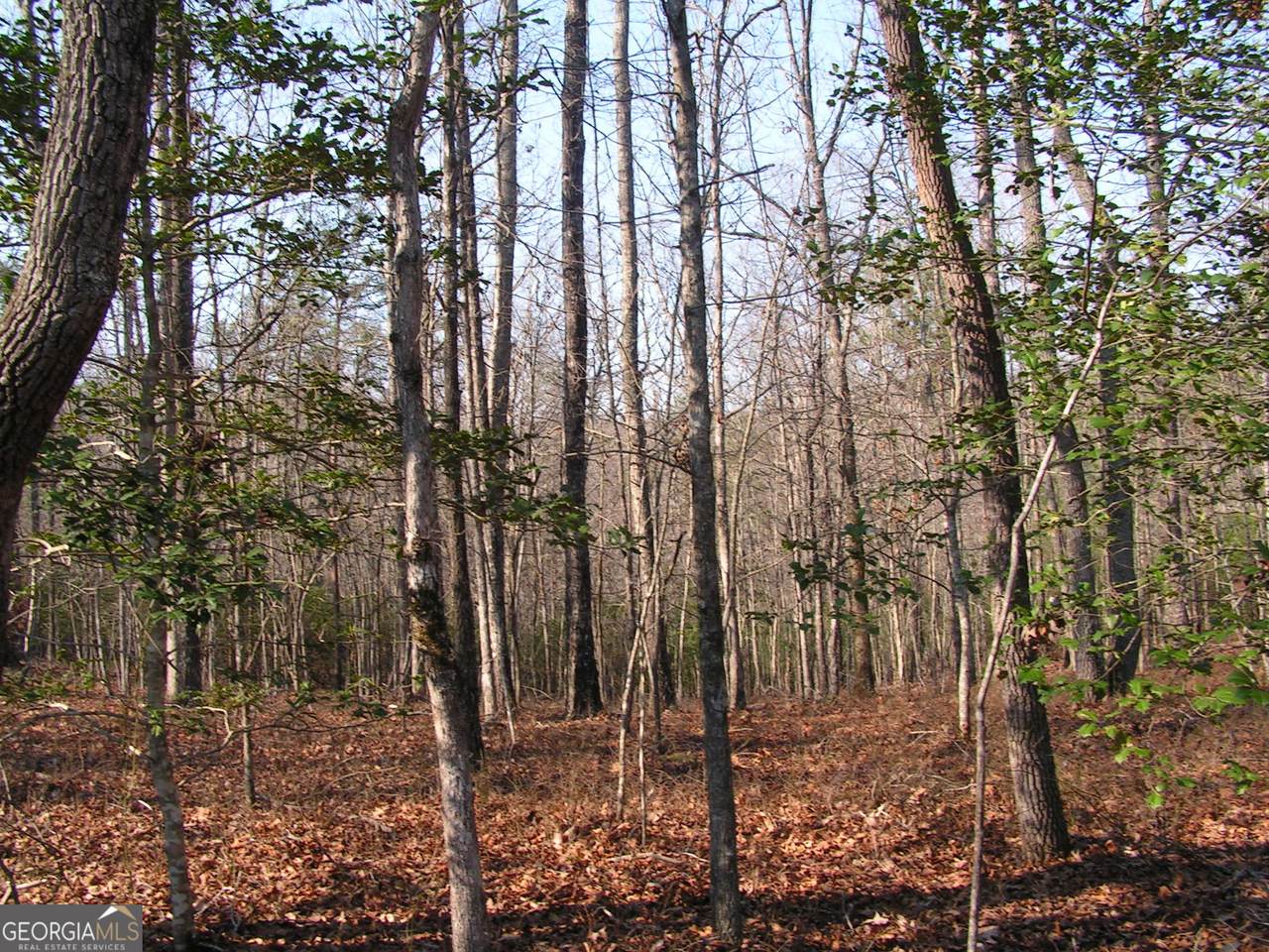https://bt-photos.global.ssl.fastly.net/gamls/1280_boomver_1_10766884-2.jpg