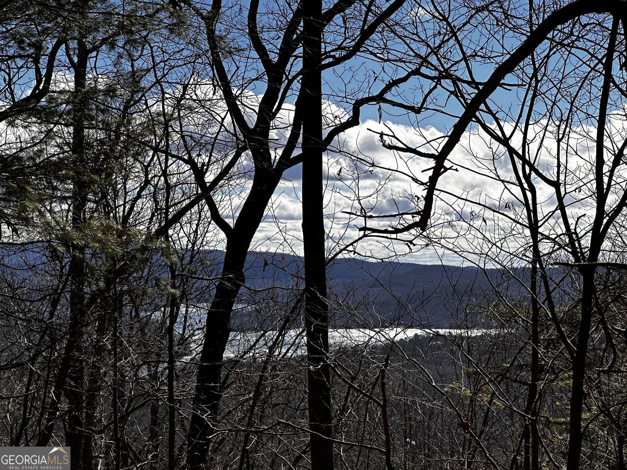 0 Lake View Lane - Photo 1