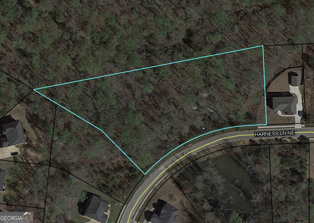 2023 Harness Lane - Photo 1
