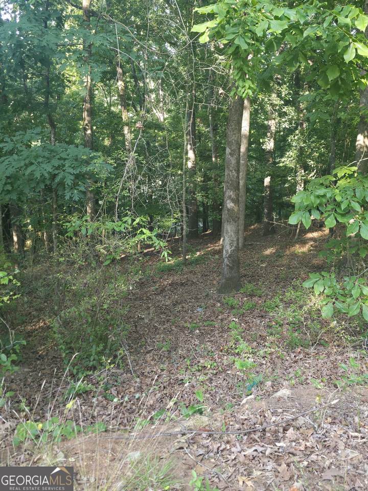 330 Caldwell Circle - Photo 1