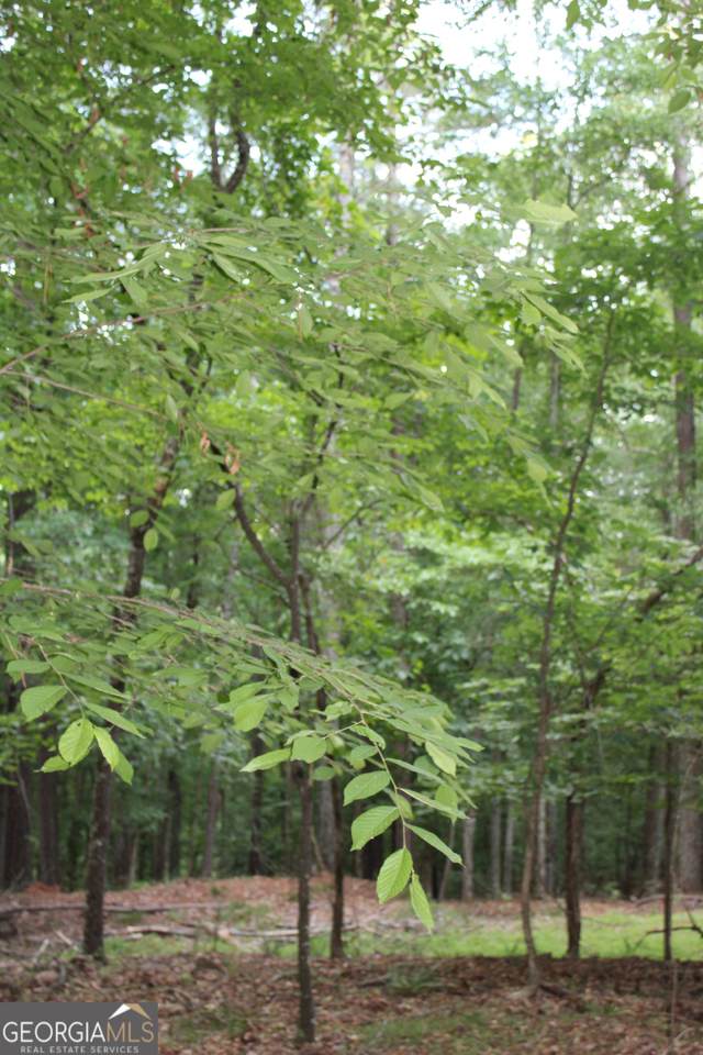 https://bt-photos.global.ssl.fastly.net/gamls/1280_boomver_1_10768841-2.jpg