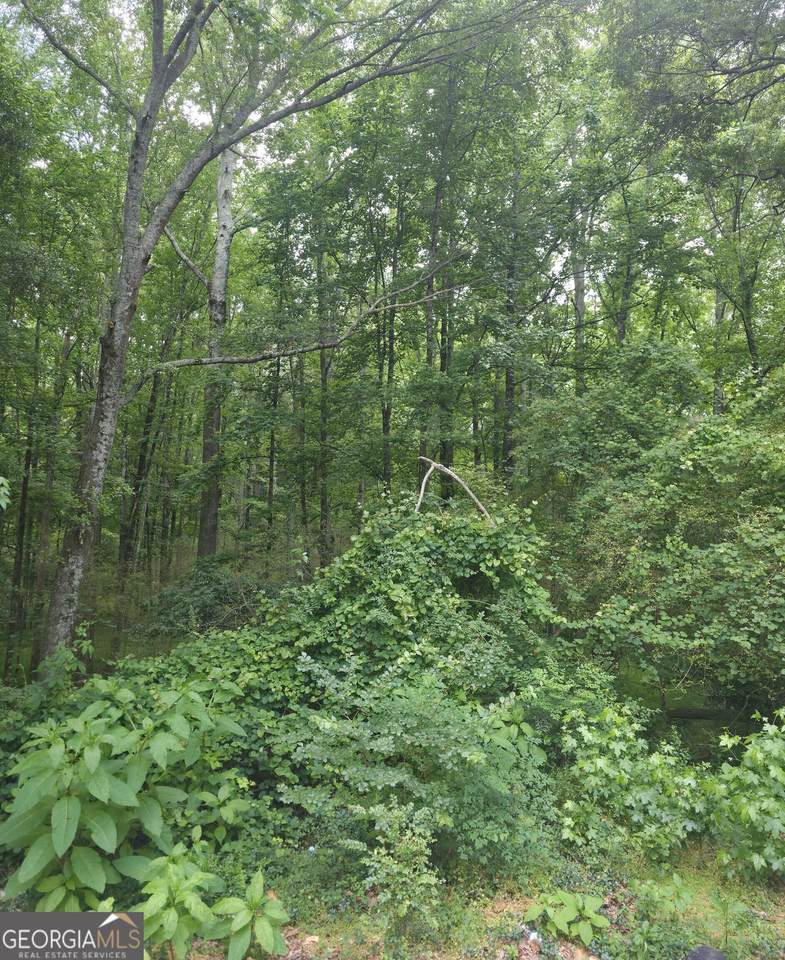 270 Cora Lou Lane - Photo 1