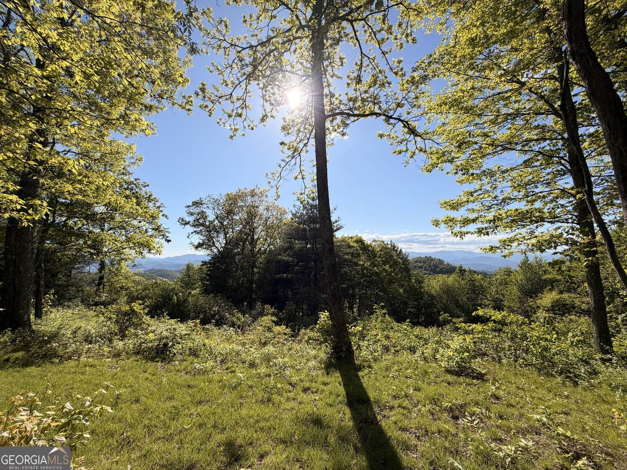 https://bt-photos.global.ssl.fastly.net/gamls/1280_boomver_1_10769106-2.jpg