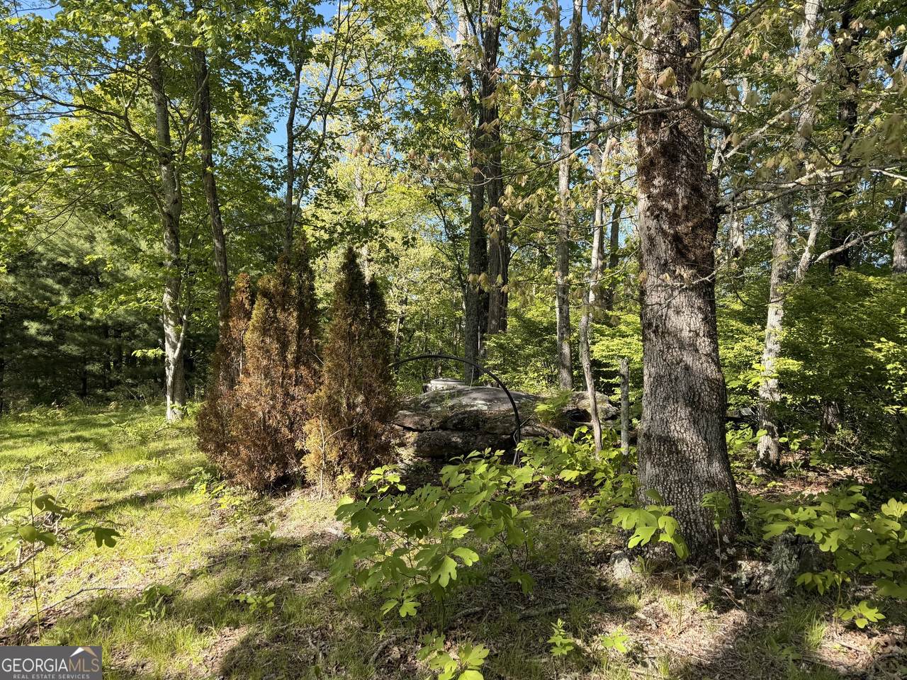 https://bt-photos.global.ssl.fastly.net/gamls/1280_boomver_1_10769106-2.jpg