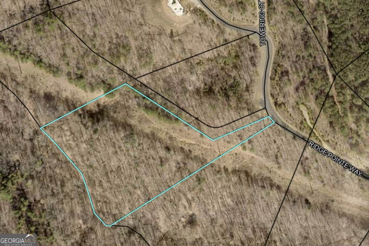 0 Ridge Pointe Way - Photo 1
