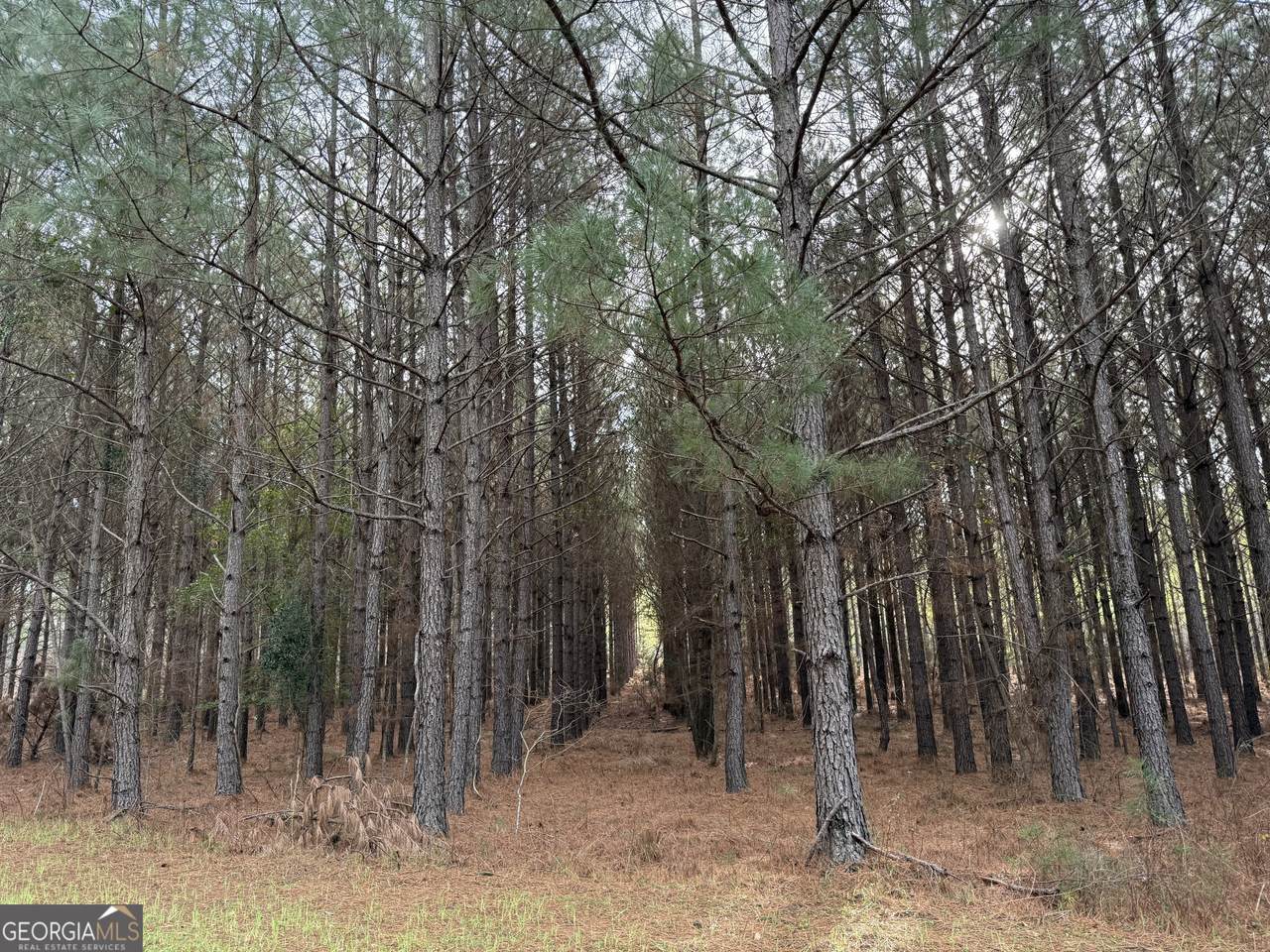 0 Center Hill School Road - Photo 1