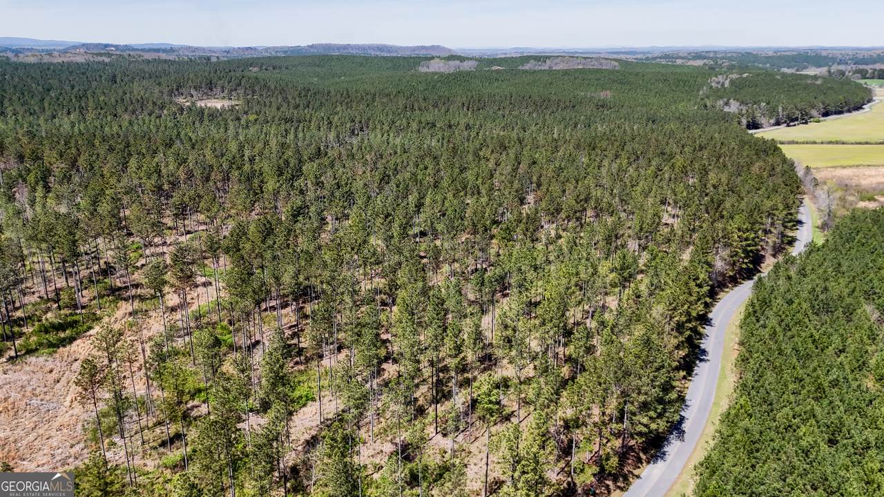 403 ACRES Youngs Farm Road - Photo 1