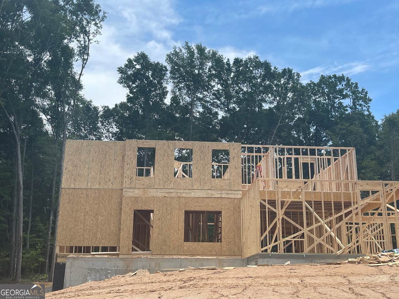 429 Michael Etchison Road - Photo 1