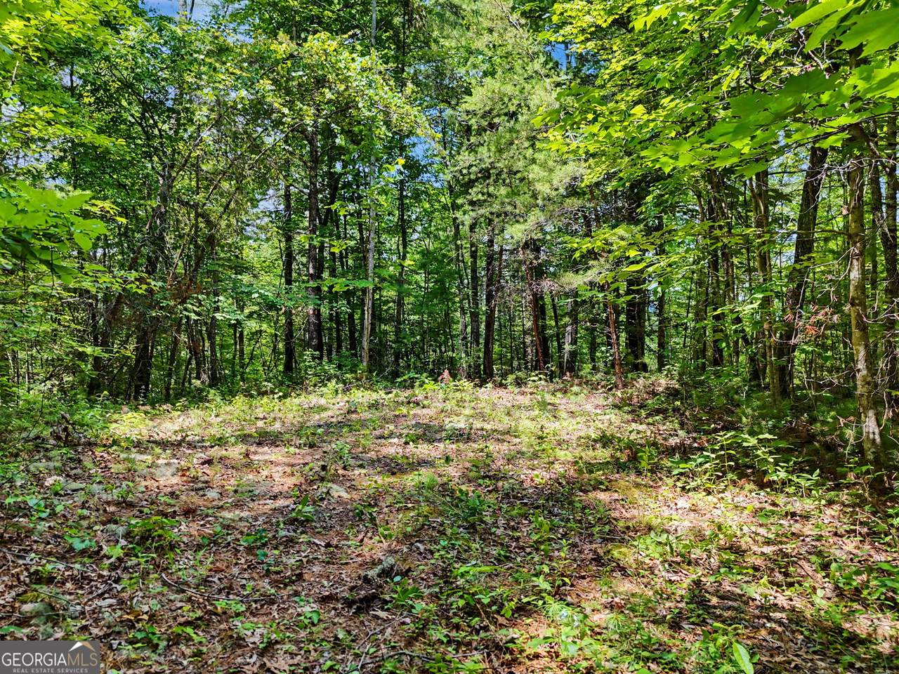 0 Hidden Falls Drive - Photo 1