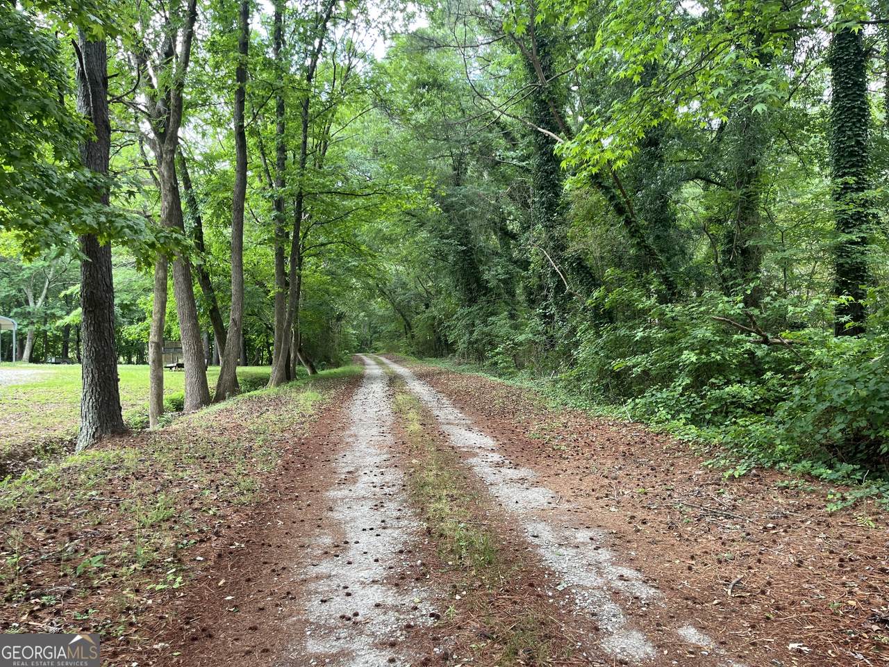 1108 Cave Springs Road - Photo 1