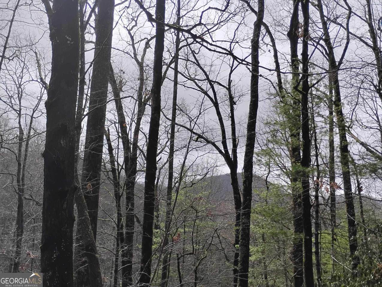 0 LOT 289 Cobblewood Trail - Photo 1