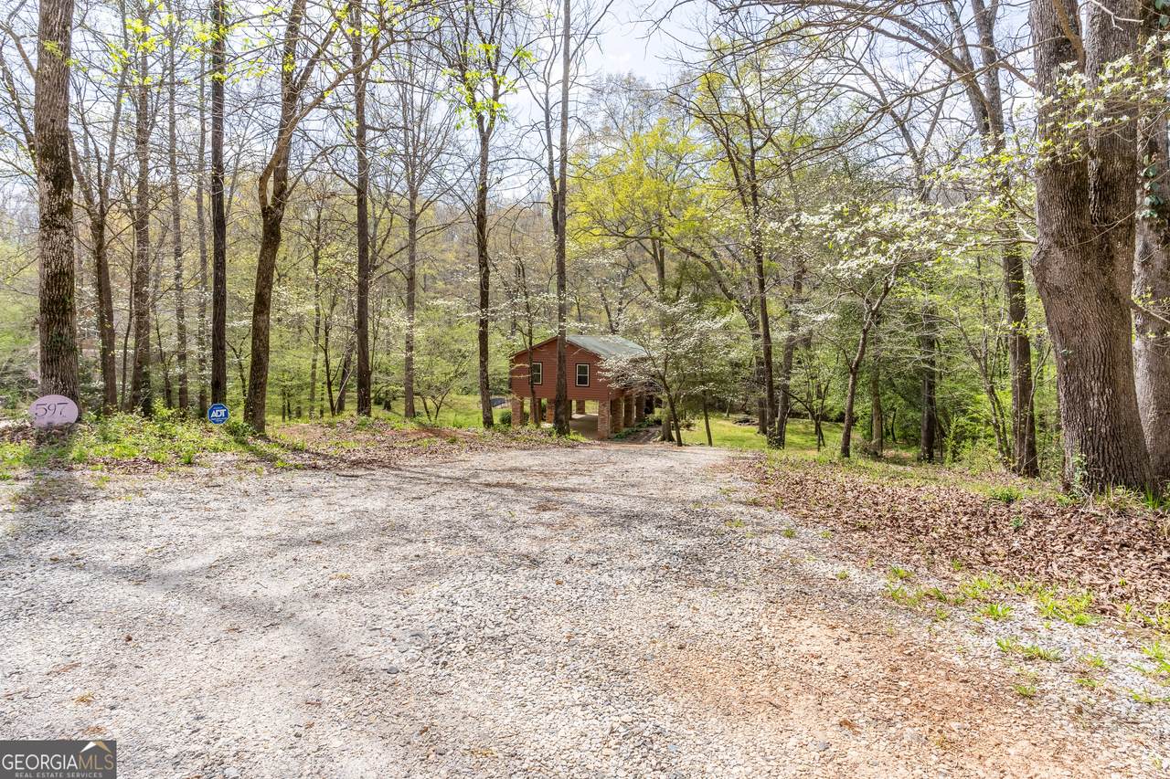 597 Meadow Brook Lane - Photo 1