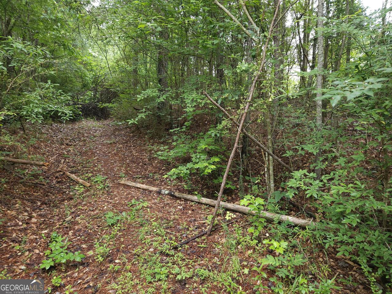 https://bt-photos.global.ssl.fastly.net/gamls/1280_boomver_1_10813570-2.jpg