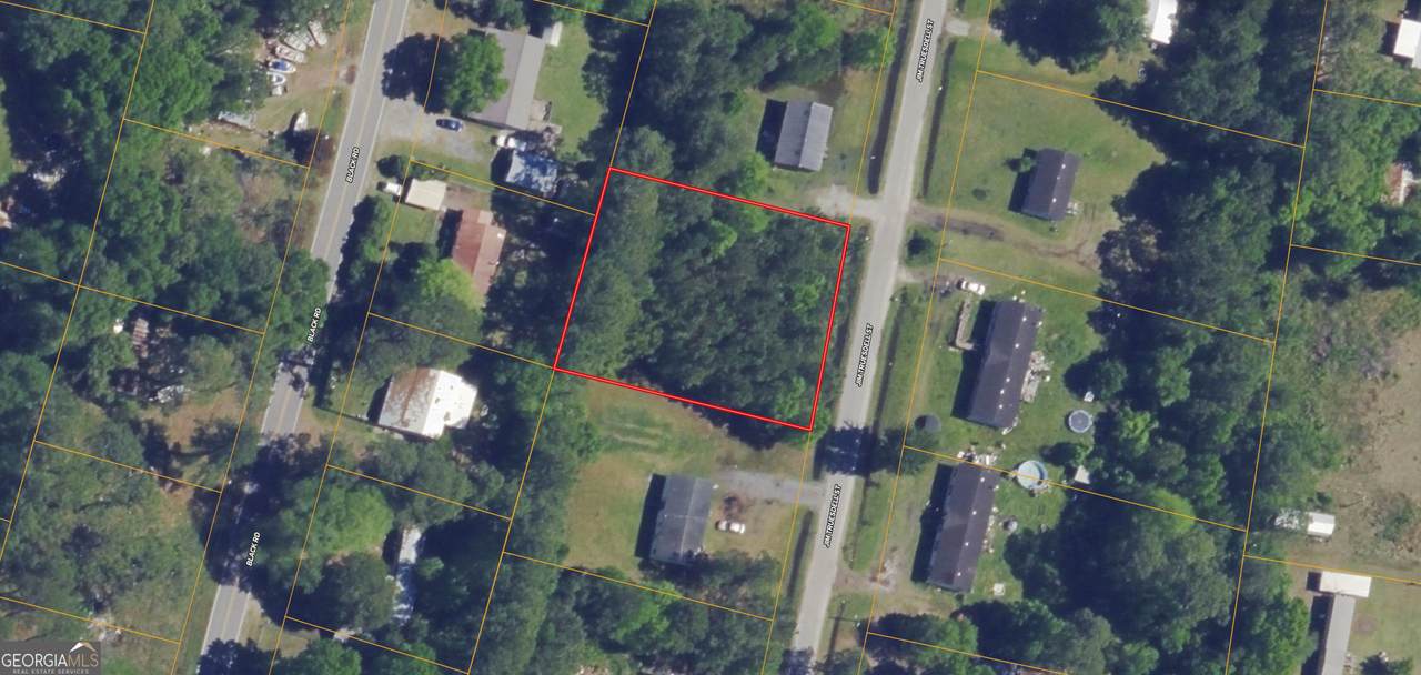 0 Jim Truesdell Road - Photo 1