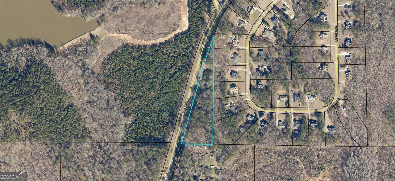 1557 Highway 36 - Photo 1