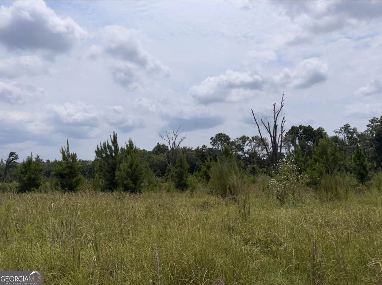 0 Rose Hollow Road - Photo 1
