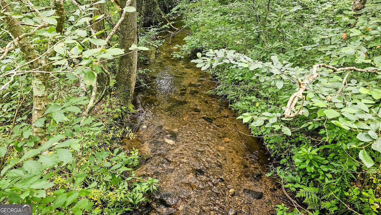 0 River Run - Photo 1