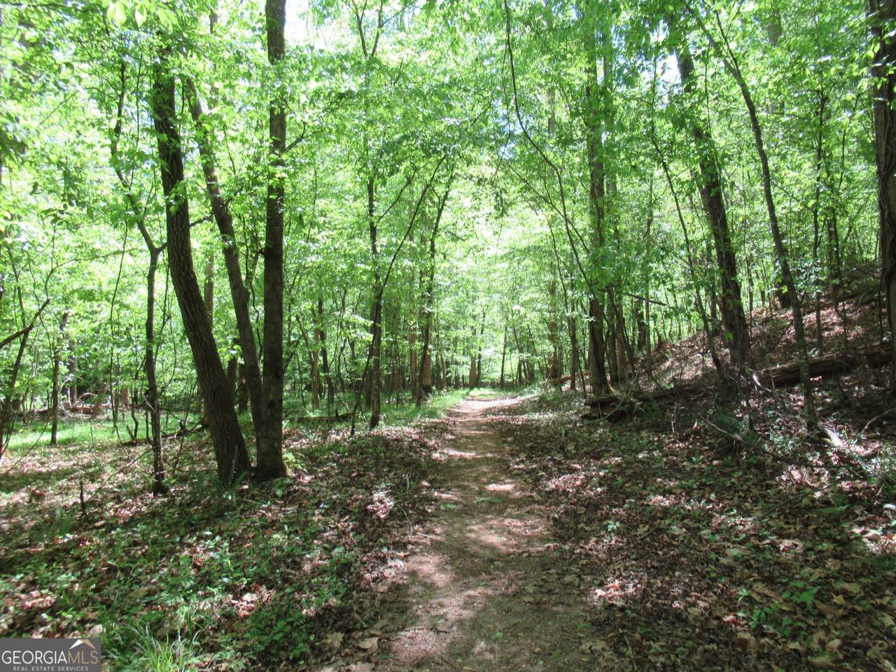 0 Chestatee Drive - Photo 1