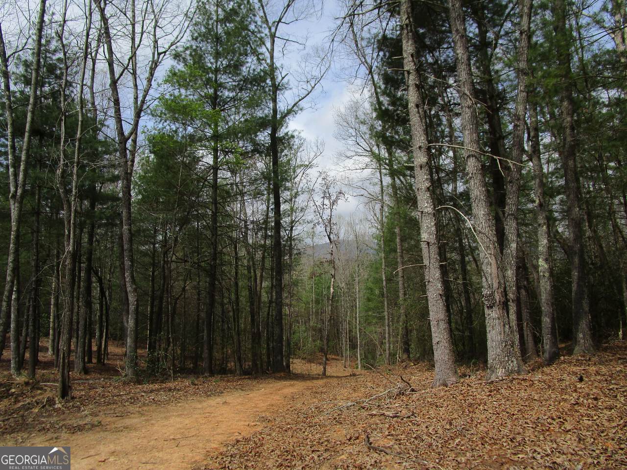 0 East New Hope Road - Photo 1