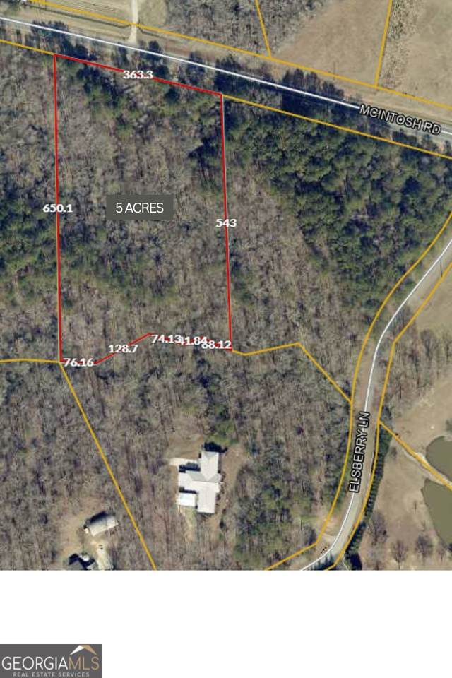 NEXT TO 443 Mcintosh Road - Photo 1