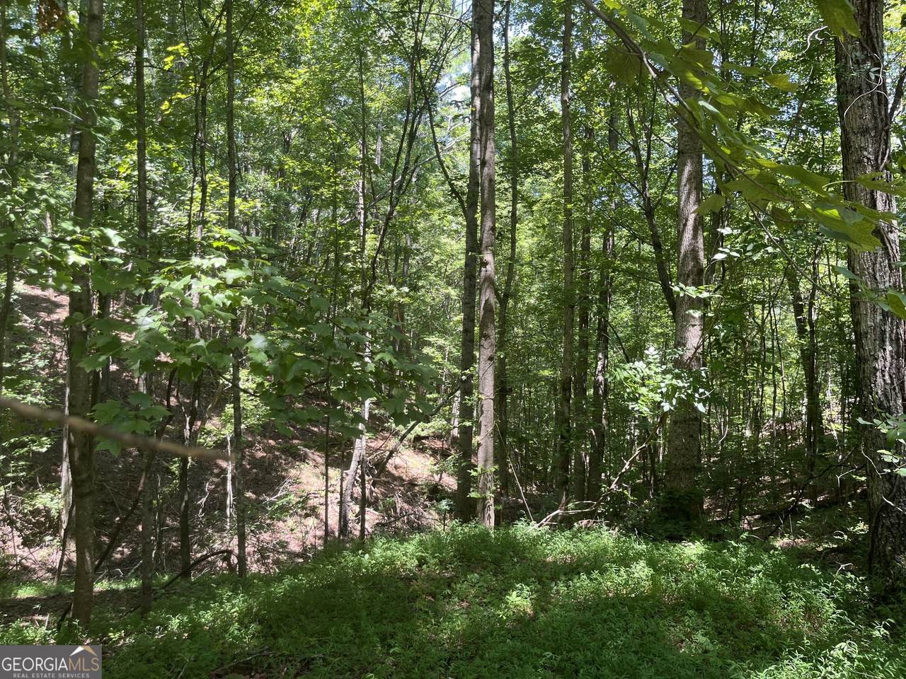 0 Twin Oaks Drive - Photo 1
