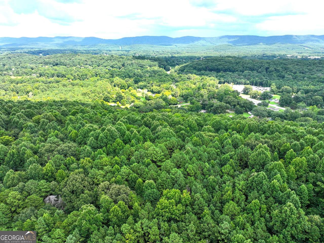 74 +/- Acres On Raccoon Road - Photo 1