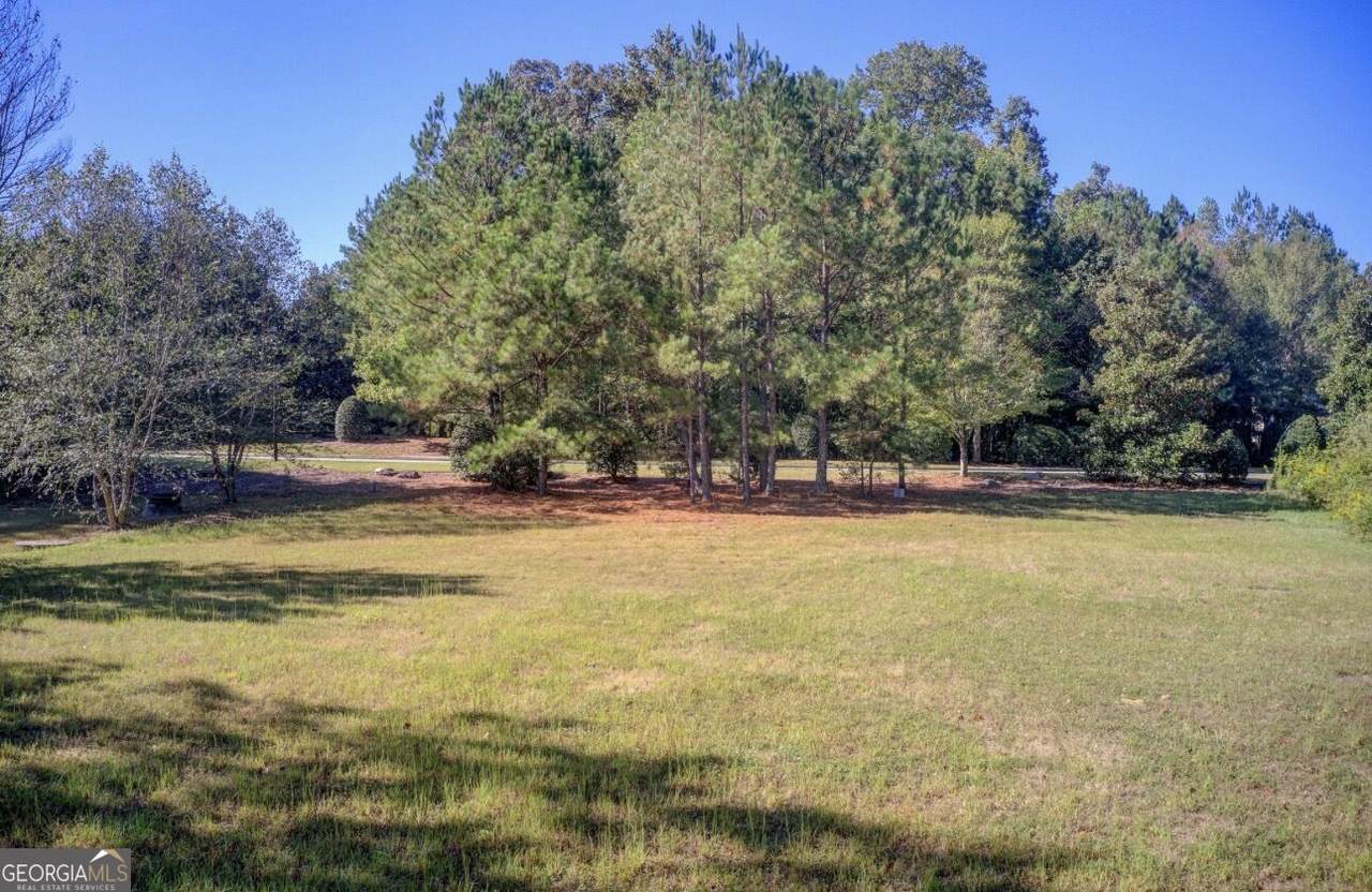 1597 Grassy Hill Court - Photo 1