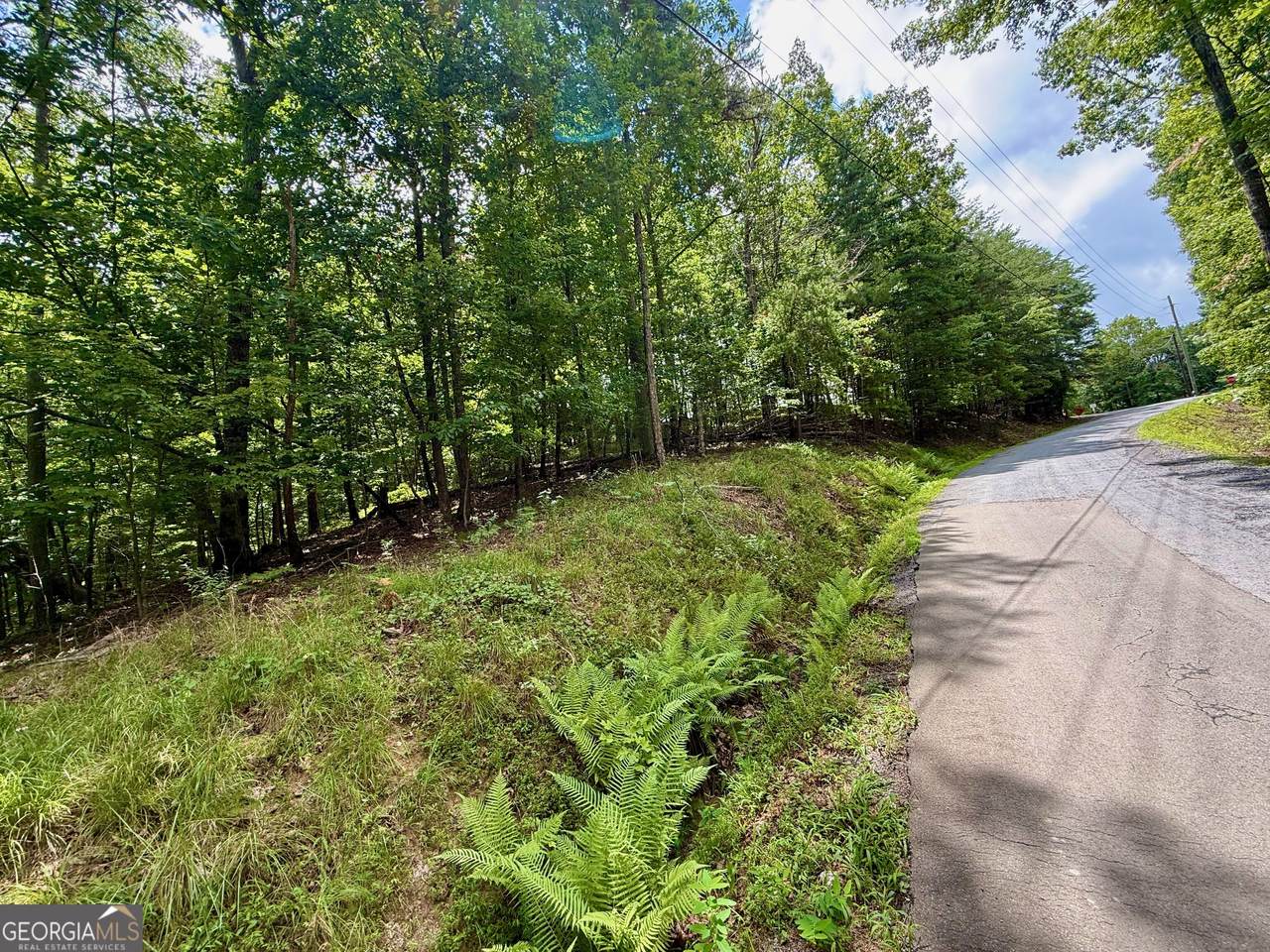 LOT 7 Stirratt Road - Photo 1