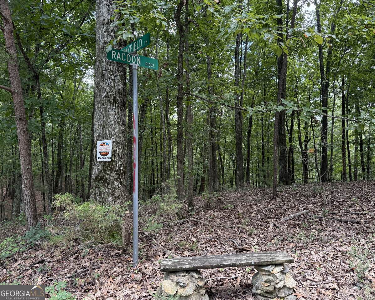 LOT 1065 Mayfield Lane - Photo 1