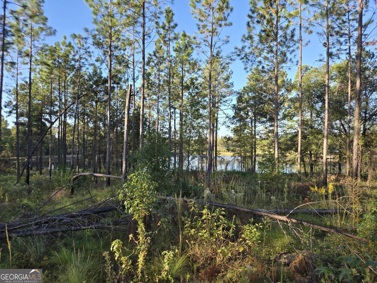 https://bt-photos.global.ssl.fastly.net/gamls/1280_boomver_1_10823242-2.jpg
