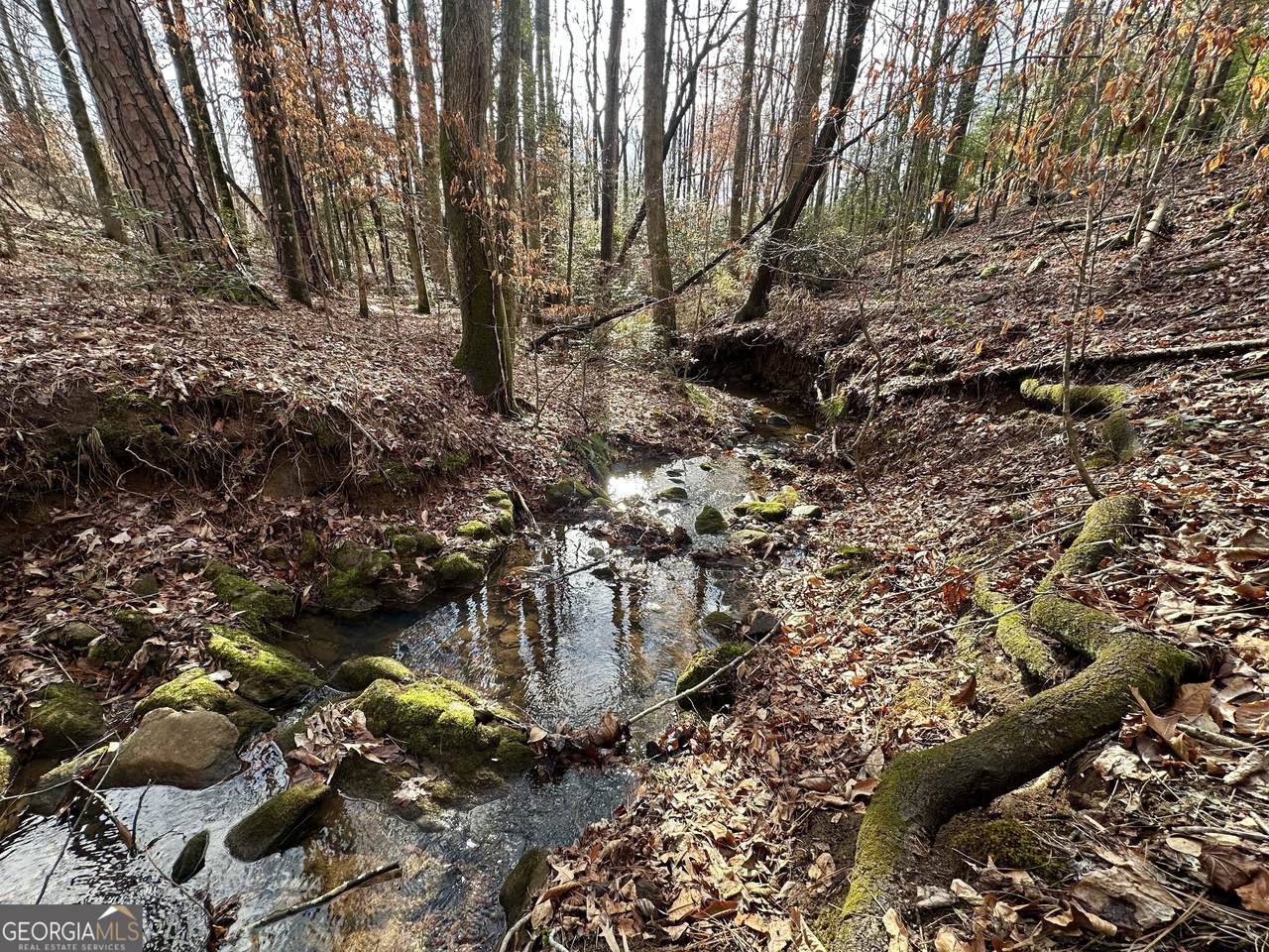 https://bt-photos.global.ssl.fastly.net/gamls/1280_boomver_1_10824069-2.jpg