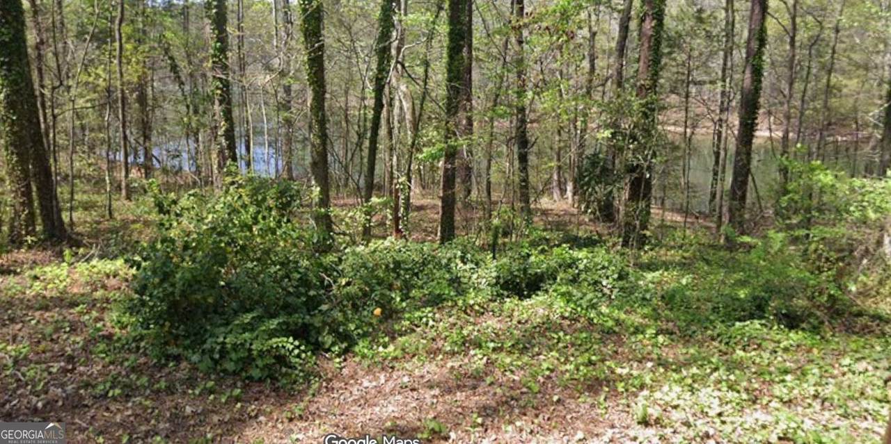 LOT56H Hawthorne Drive - Photo 1