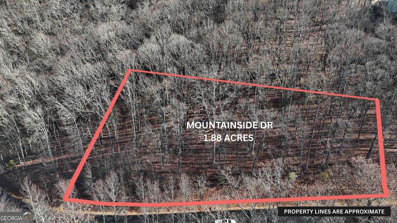 LOT 45 Mountainside Drive - Photo 1